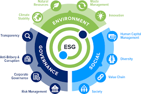 Understanding The Basics: Typical Costs Of The ESG Process